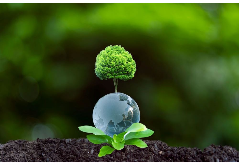 Atjaunojamā siltuma atbalsts: biomasas katlu ietekme uz CO₂ emisijām